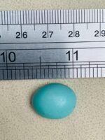 11.62-Carat Afghan Turquoise: A Compact Gem of Rich Color and Elegance - Image 8