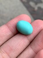 Delicate Afghan Turquoise: 11.60 ct of Natural Elegance - Image 4