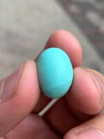 Delicate Afghan Turquoise: 11.60 ct of Natural Elegance - Image 8