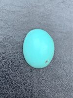 17.92 ct Afghan Turquoise Cabochon: Vivid Blue Gemstone - Image 2