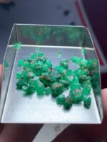 Rare 19.21ct Swat Emerald Rough Lot – Natural Green Crystals (9.15 x 5.31 x 4.20 mm) - Image 7