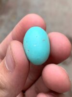 17.80-Carat Afghan Turquoise: A Graceful Gem with Elegant Proportions - Image 3
