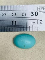 17.80-Carat Afghan Turquoise: A Graceful Gem with Elegant Proportions - Image 8