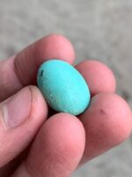 Elegant Afghan Turquoise: A 19.86 ct Cabochon Gem - Image 2