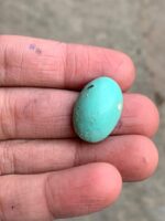 Elegant Afghan Turquoise: A 19.86 ct Cabochon Gem - Image 3