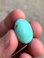 Elegant Afghan Turquoise: A 19.86 ct Cabochon Gem - Image 7
