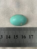 Elegant Afghan Turquoise: A 19.86 ct Cabochon Gem - Image 9