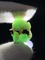 Most Rare 21 ct Green Hauyne specimen from Badakhshan, Afghanistan - Image 5