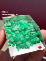59.94ct Swat Emerald Rough Lot – Vivid Natural Green from Pakistan’s Gem Valley