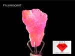 Rare 2.84 Rough Hackmanite with Strong Tenebrescent Color Change and Fluorescent from Afghanistan - Image 3