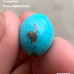 The Vibrant Beauty of Afghan Turquoise: A Showcase of Exquisite Cabochon