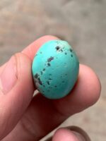 Striking 29.65ct Afghan Turquoise Cabochon – Natural Gemstone Beauty - Image 2