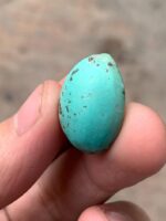 Striking 29.65ct Afghan Turquoise Cabochon – Natural Gemstone Beauty - Image 6