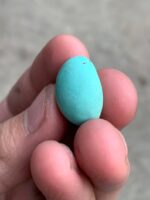 Elegant Afghan Turquoise: A 17.52 ct Cabochon Gem - Image 4