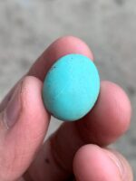 Elegant Afghan Turquoise: A 17.52 ct Cabochon Gem - Image 6