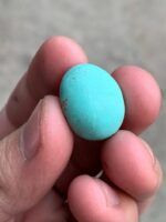 Elegant Afghan Turquoise: A 17.52 ct Cabochon Gem - Image 8