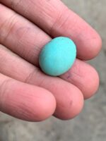 Elegant Afghan Turquoise: A 17.52 ct Cabochon Gem - Image 11