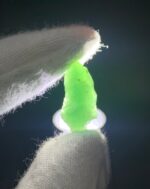 Most Rare 10 ct Green Hauyne specimen from Badakhshan, Afghanistan - Image 6