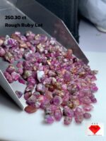 251.30 Carat Ruby Rough Lot – Natural Untreated Red Crystals (14x8x6mm)