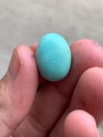 A 17.52-Carat Afghan Turquoise Cabochon — Elegance in a Compact Gem - Image 2