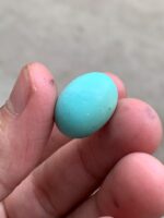 A 17.52-Carat Afghan Turquoise Cabochon — Elegance in a Compact Gem - Image 3