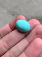 A 17.52-Carat Afghan Turquoise Cabochon — Elegance in a Compact Gem - Image 4
