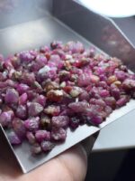 251.30 Carat Ruby Rough Lot – Natural Untreated Red Crystals (14x8x6mm) - Image 8