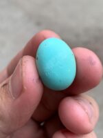 A 17.52-Carat Afghan Turquoise Cabochon — Elegance in a Compact Gem - Image 10