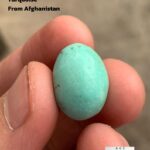 Exquisite Afghan Turquoise: 16.75 Carats of Natural Beauty