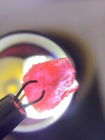 Rare 1.460 ct Hackmanite with Strong Tenebrescent Color Change and Fluorescent from Afghanistan - Image 2