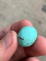 Afghan Turquoise Cabochon Gemstone: 20.42 ct, Vivid Blue - Image 3