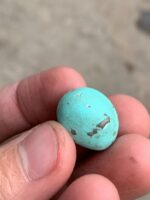 Afghan Turquoise Cabochon Gemstone: 20.42 ct, Vivid Blue - Image 4