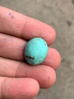 Afghan Turquoise Cabochon Gemstone: 20.42 ct, Vivid Blue - Image 5
