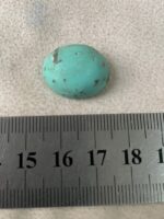 Afghan Turquoise Cabochon Gemstone: 20.42 ct, Vivid Blue - Image 8