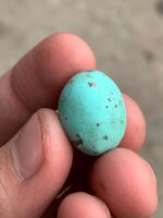 Afghan Turquoise Cabochon Gemstone: 20.42 ct, Vivid Blue - Image 9