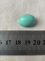 Exquisite Afghan Turquoise: 16.75 Carats of Natural Beauty - Image 8