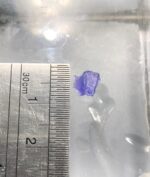Rare 0.840 ct Hackmanite with Strong Tenebrescent Color Change and Fluorescent from Afghanistan - Image 6
