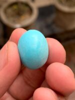 19.60-Carat Afghan Turquoise: A Gem of Depth and Distinction - Image 6