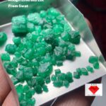 Exceptional 55.56ct Swat Emerald Rough Lot – Rare Long Crystals 12x11x110mm