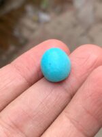 11.40-Carat Afghan Turquoise: A Petite Gem of Timeless Charm - Image 3