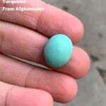 15.30ct Afghan Turquoise Cabochon: Petite Power with Natural Elegance