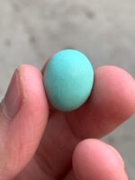 15.30ct Afghan Turquoise Cabochon: Petite Power with Natural Elegance - Image 2