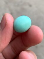 15.30ct Afghan Turquoise Cabochon: Petite Power with Natural Elegance - Image 3
