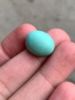 15.30ct Afghan Turquoise Cabochon: Petite Power with Natural Elegance - Image 4