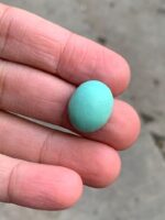 15.30ct Afghan Turquoise Cabochon: Petite Power with Natural Elegance - Image 5