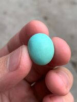 15.30ct Afghan Turquoise Cabochon: Petite Power with Natural Elegance - Image 10