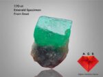 7.70ct Swat Emerald Specimen– A Fine Natural Green Gem from Pakistan