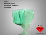 Swat Emerald Crystal - 12.68 Carat, Natural Green Gemstone