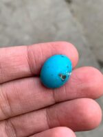 17.95ct Afghan Turquoise Cabochon: Compact Beauty with Vibrant Character - Image 3