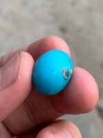 17.95ct Afghan Turquoise Cabochon: Compact Beauty with Vibrant Character - Image 7
